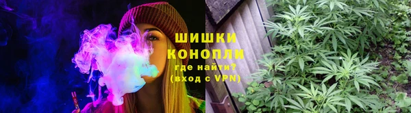 СК Волоколамск