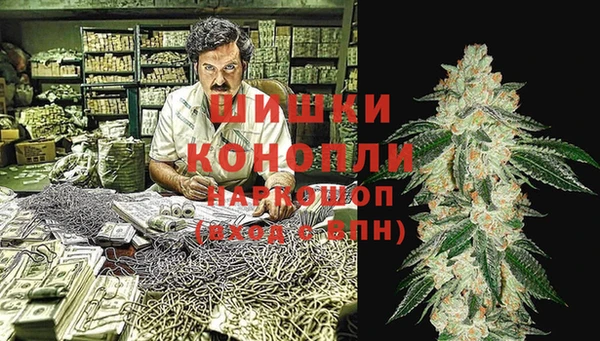 СК Волоколамск