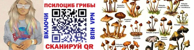 Галлюциногенные грибы мухоморы  Купить  Бодайбо 
